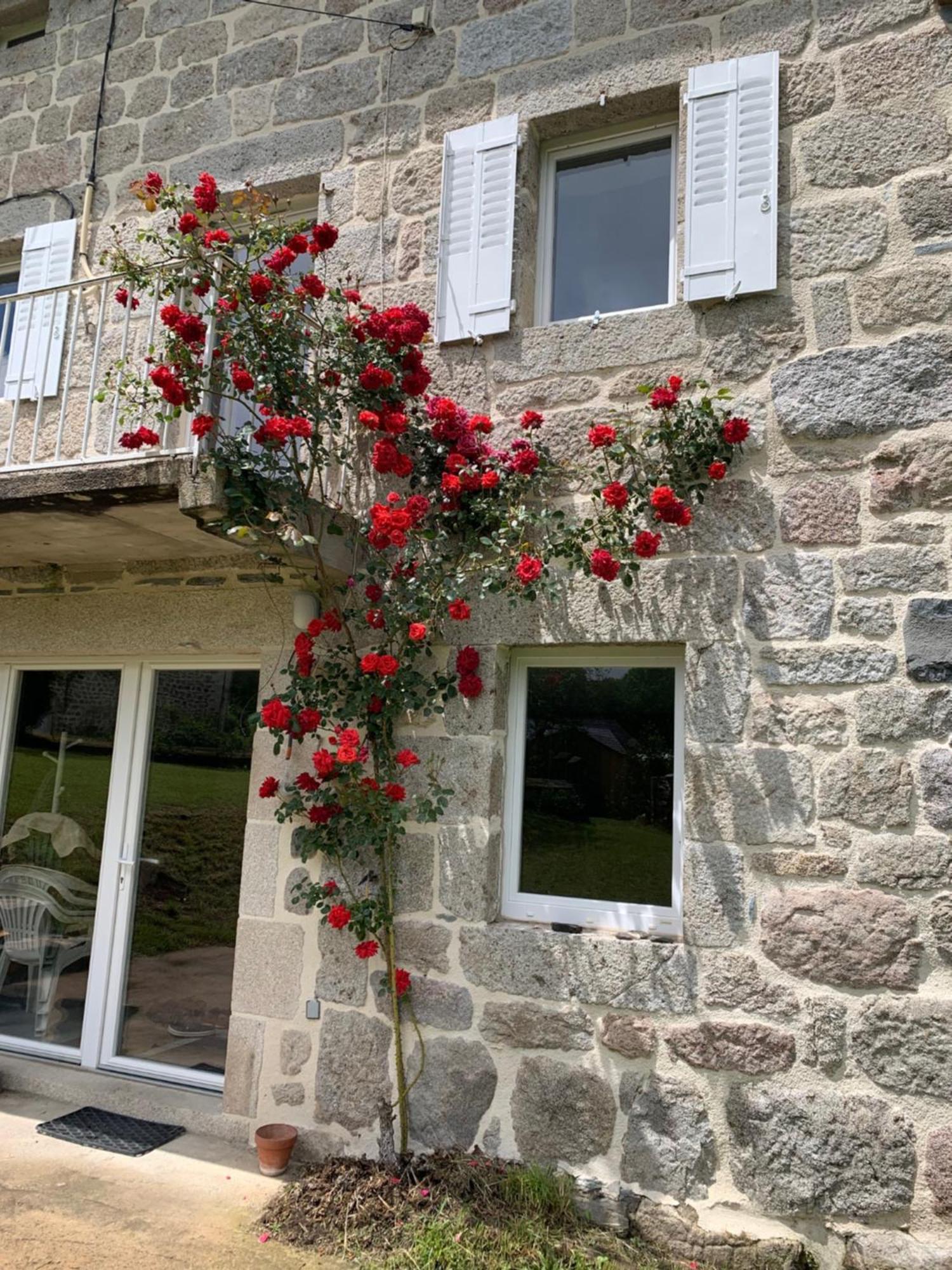 Ferme Au Calme A 15Mn Du Chambon Sur Lignon Saint-Jeures Exterior foto